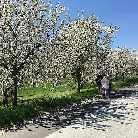 Σπίτι διακοπών Thermen - Biodorf